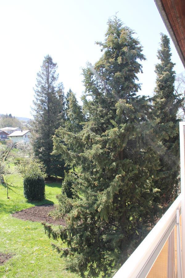 Hotel Restaurant Le Panorama Neuvecelle Dış mekan fotoğraf